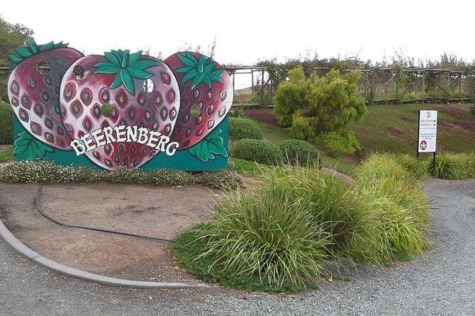 Adelaide Hills Regional / Hahndorf German Village Tour - Price and Value: What $128 Really Buys (and What It Doesn’t)