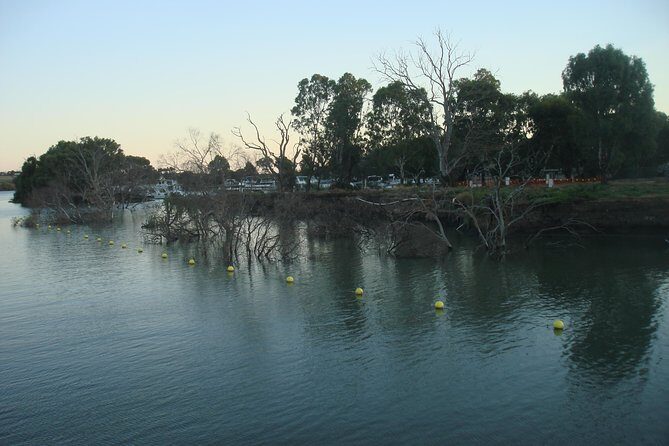 Adelaide Hills Tour with River Murray Lunch Cruise - Should You Book the Adelaide Hills Tour with River Murray Lunch Cruise?