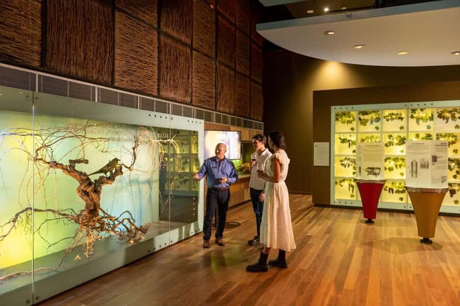 Adelaide: National Wine Centre Wine Discovery Journey - Quick highlights before you book