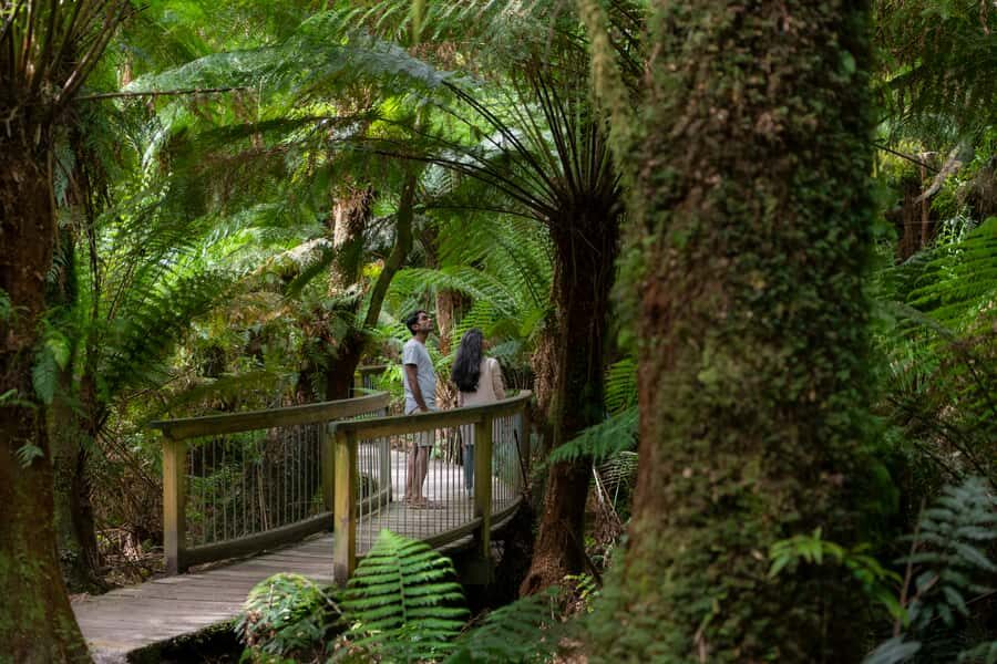 Adelaide to Melbourne: 3-Day Ultimate Overland Journey - Wildlife encounters and why Tower Hill is more than a photo stop