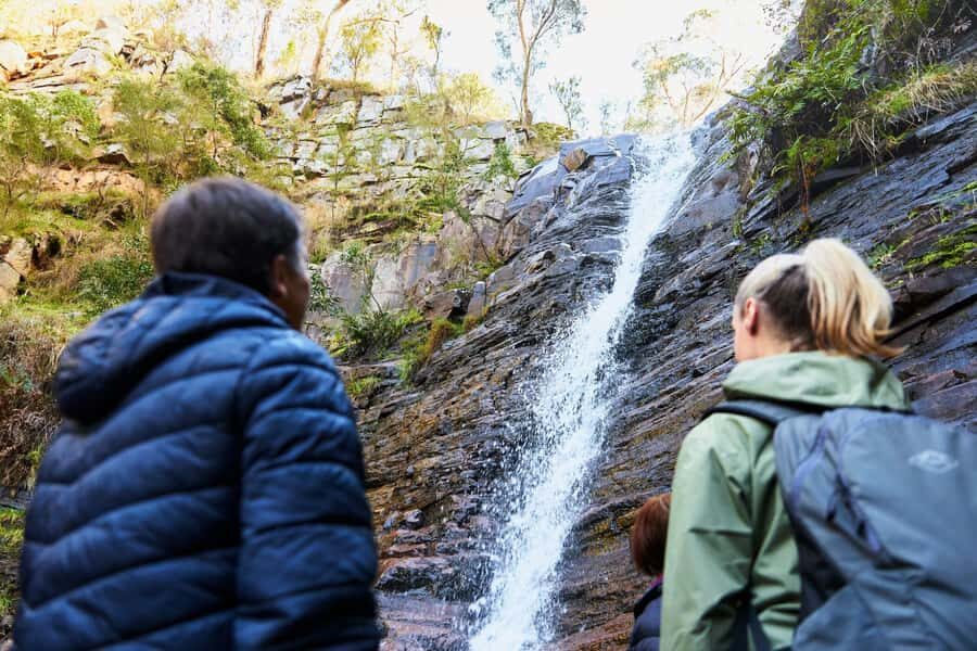 Adelaide to Melbourne: 3-Day Ultimate Overland Journey - Price and value: does $633 make sense for this route?
