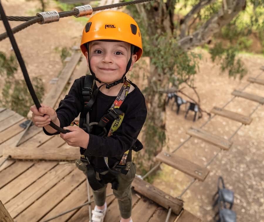Adelaide: TreeClimb Adelaide Climb For Little Adventurers - Should You Book TreeClimb Adelaide for Little Adventurers?