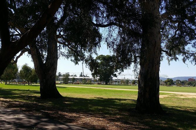 Adelaide Walking Tour: East End Escapade - Weather, comfort, and who this tour suits best