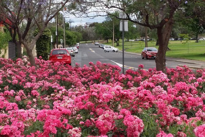 Adelaide Walking Tour: Hills, Squares and Parklands - Kingsmead, Duncraig, and a Victorian Villa With a Dark Note