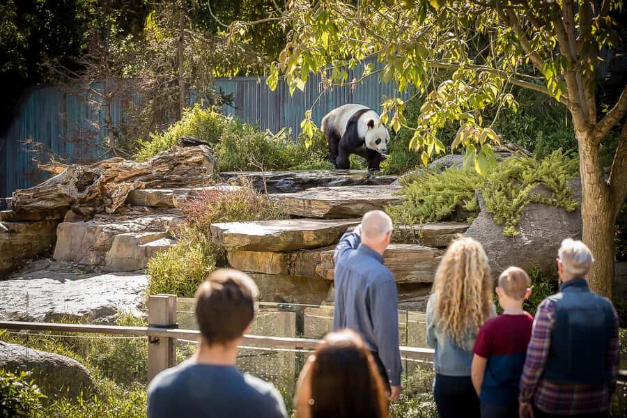 Adelaide Zoo: General Admission Tickets - Key highlights at a glance