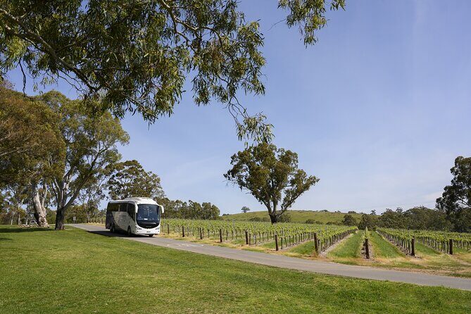 All Inclusive Barossa Valley Food and Wine Tour - Key highlights worth getting excited about