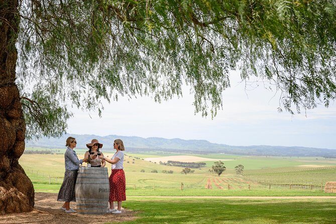 All Inclusive Barossa Valley Food and Wine Tour - Pindarie Winery’s heritage tasting room and your morning tea break