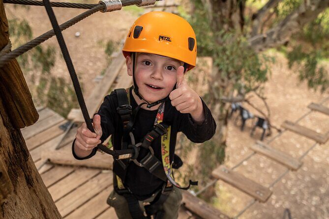 An exciting, Tree Top Adventure for Our Littlest Adventurers - Parent Role: Coaching From the Ground (Without Climbing)