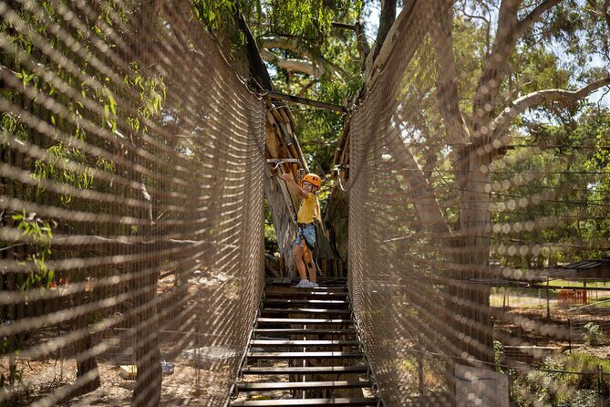 An exciting, Tree Top Adventure for Our Littlest Adventurers - Timing, Small-Group Pace, and Adelaide Logistics