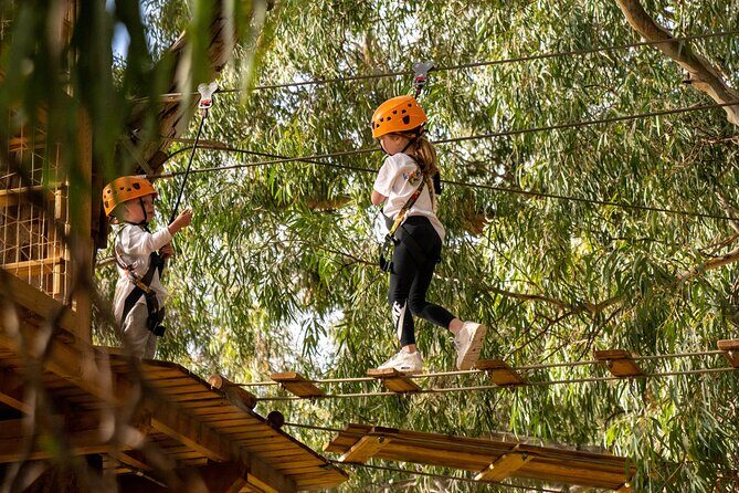 An exciting, Tree Top Adventure for Our Littlest Adventurers - Where to Meet and How the 1h20 Session Flows