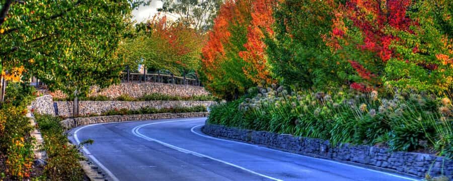 Barossa and Hahndorf Hill Tour - How the day flows from Maggie Beer to Adelaide views