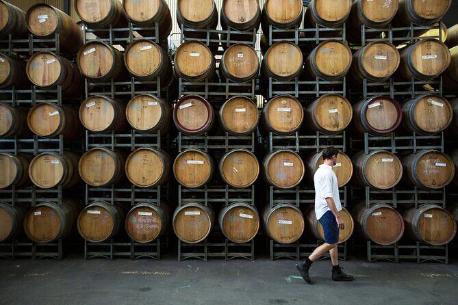 Barossa Small Group Wine Tours with Wine Tasting and Lunch - Pindarie Winery Lunch: Scenic Views and a Proper Meal
