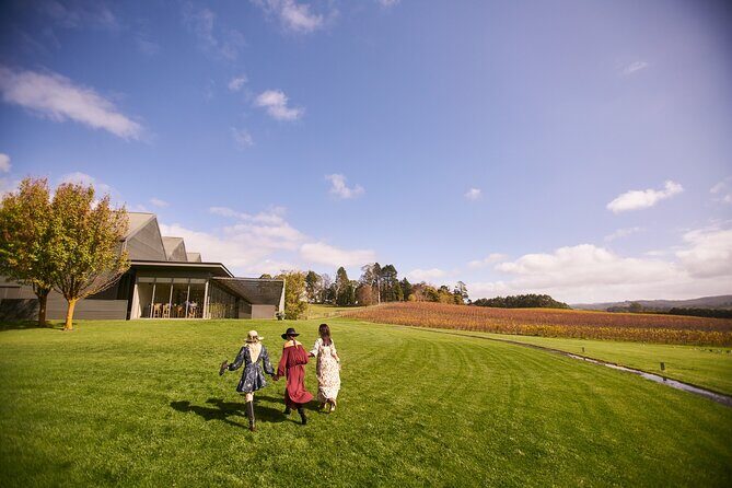 Barossa Small Group Wine Tours with Wine Tasting and Lunch - Price and Logistics: How to Decide Before You Book