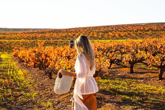 Barossa Small Group Wine Tours with Wine Tasting and Lunch - The Boutique Cellar Door Plan: Off-Mainstream, On-Purpose
