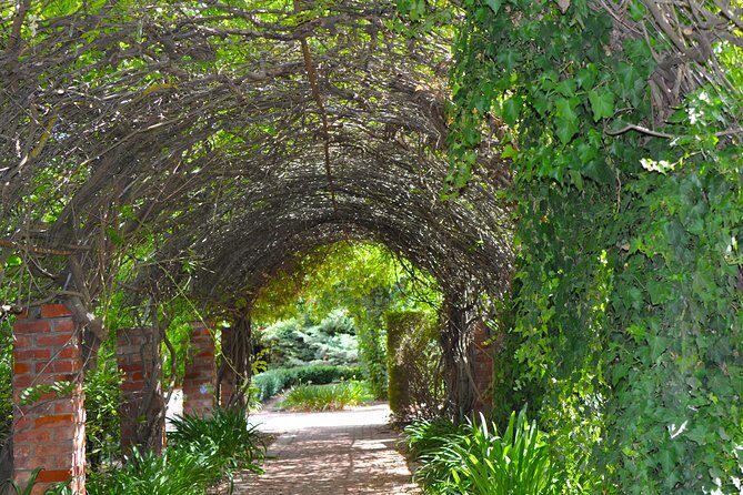 Barossa Valley Cellar Door Small Group Tour - Why this Barossa day trip feels practical from Adelaide