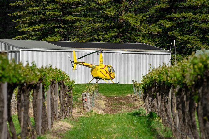Barossa Valley Deluxe: 30-Minute Helicopter Flight - Price and Value: Is $268.97 Worth It?