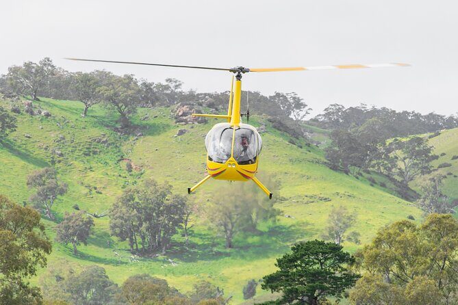Barossa Valley Deluxe: 30-Minute Helicopter Flight - Pre-Flight Safety Briefing: The Rules That Protect Your Photos