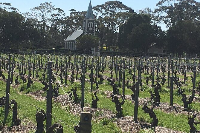 Barossa Valley Private Luxury Tour Full Day - Private Land Cruiser 4WD: the easiest way to enjoy Barossa