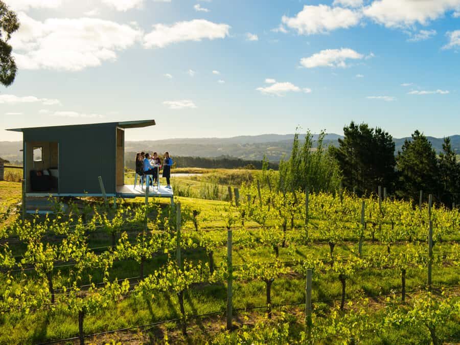 Barossa Wine Tour: Small Group 8 max, Rare, Unique, Premium - Key points you’ll care about before booking