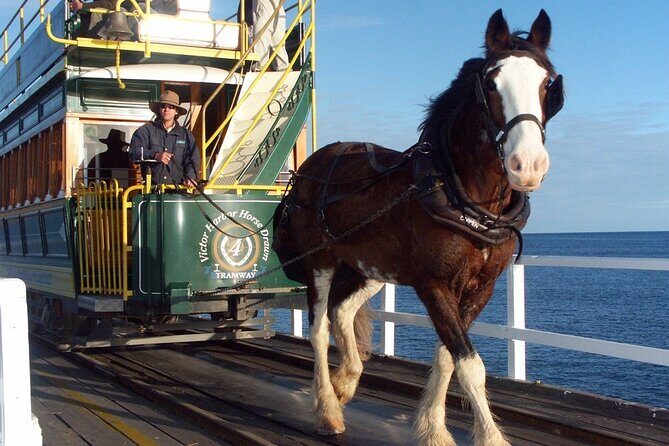 Best of SA, Hahndorf , Victor Harbor & d'arenberg 'Cube' Tour - Key highlights you’ll care about