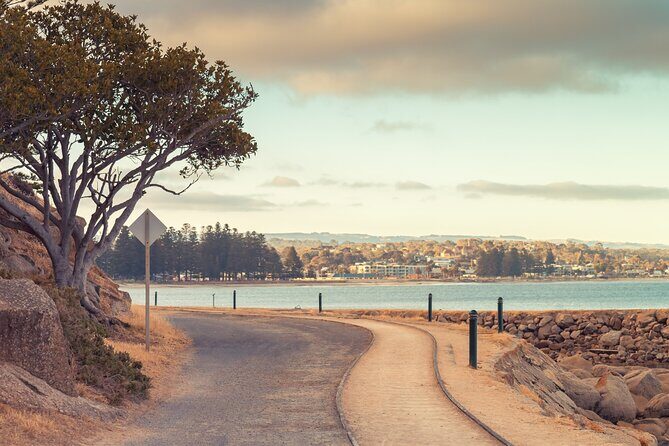 Best of SA, Hahndorf , Victor Harbor & d'arenberg 'Cube' Tour - Driving stress removed: why the guide-voice matters on a day like this