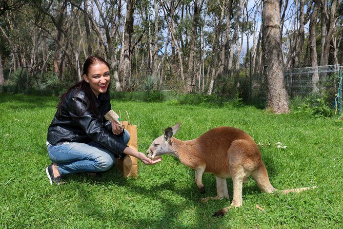 Cleland Wildlife Park Experience - from Adelaide including Mt Lofty Summit - Should You Book This Cleland and Mt Lofty Tour?