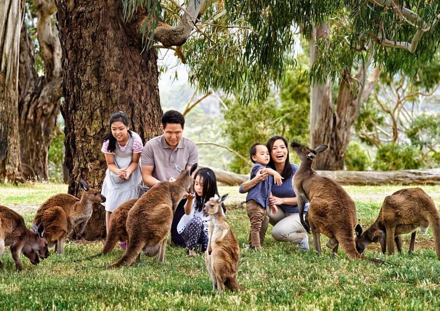 Cleland Wildlife Park Experience with Mount Lofty Summit - Cleland Wildlife Park layout: 35 hectares of natural bush and self-paced trails