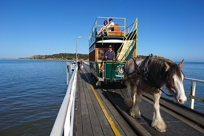 Coorong 3 & 1/2 Lunch Cruise and Tour - Hahndorf Time: A Real German Village Pause
