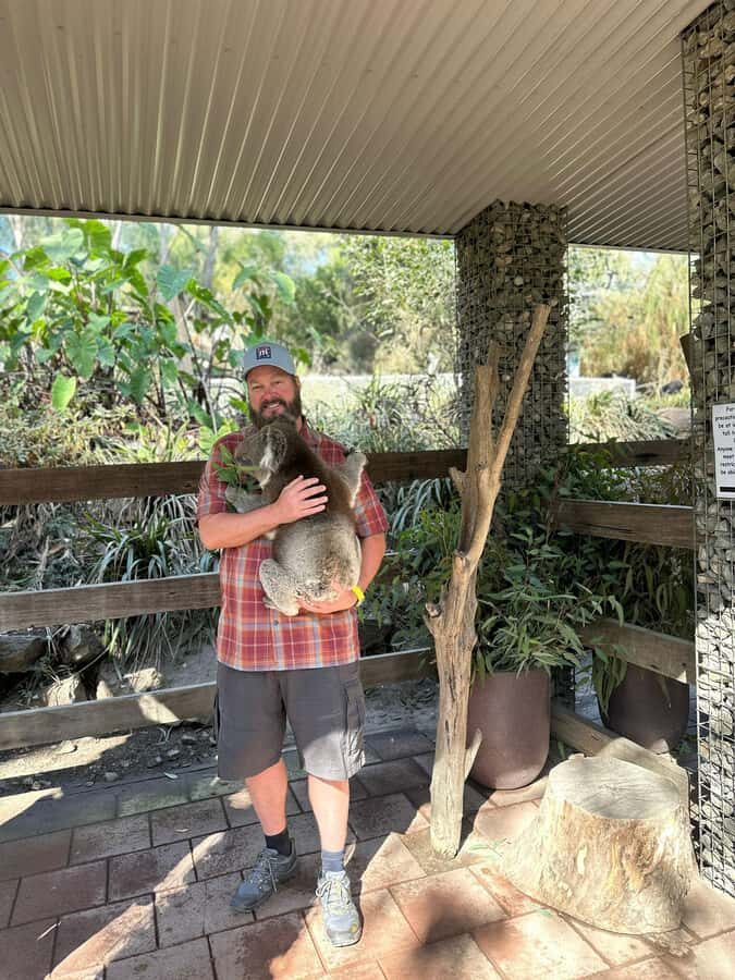 Cuddle a Koala and Historic Hahndorf Tour - How This Adelaide Hills Day Balances Wildlife, Food, and Views