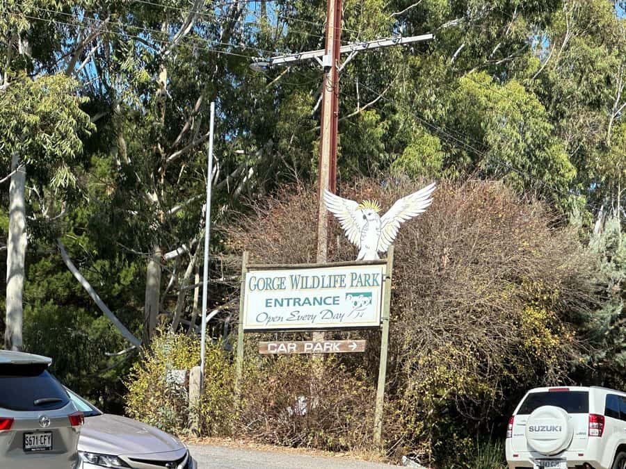 Cuddle a Koala and Historic Hahndorf Tour - Historic Hahndorf Free Time: Where Your Lunch Choices Actually Matter