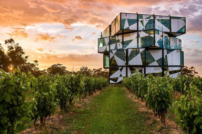 d'Arenberg Cube / McLaren Vale Regional Tour - McLaren Vale’s Sea-and-Vines Loop: Why This Tour Works