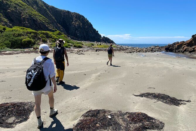 Deep Creek Hike: Trails and Tales with a Foreign Flair - Wildlife chances: kangaroos, echidnas, and whales (June to October)