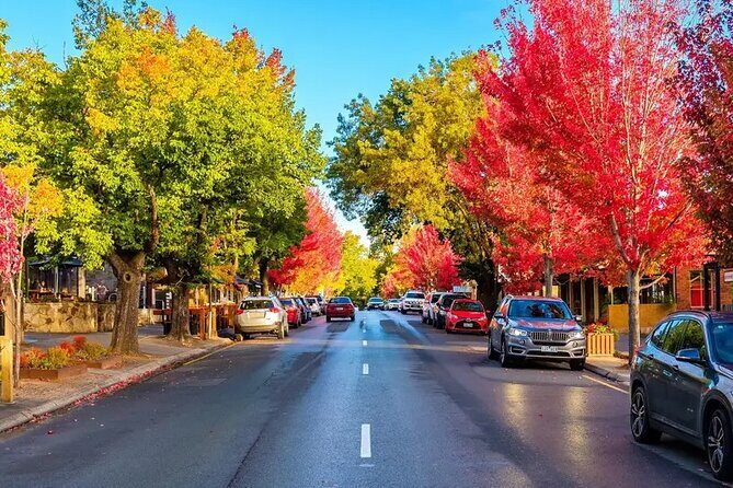 Discover Charms of Hahndorf & Hills (Full Day Tour) - A Full Day That Balances Views and Food Stops