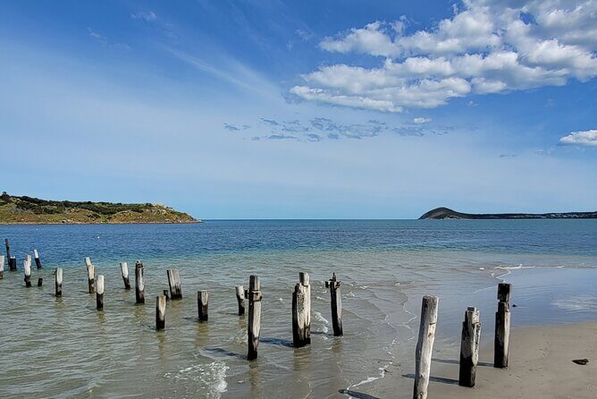 Discover Victor Harbor Walking Tour - Key highlights worth your time