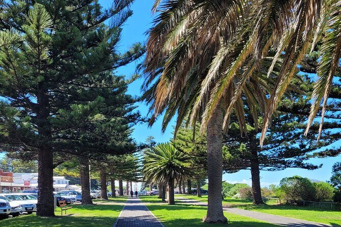 Discover Victor Harbor Walking Tour - Stop 1 at the Causeway: Encounter Bay views plus Flinders and Baudin