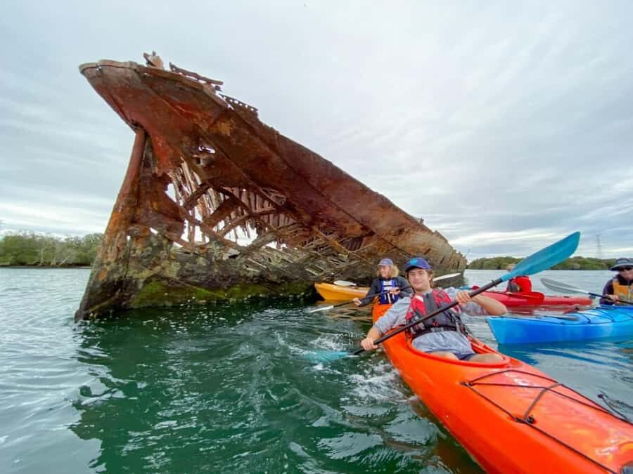 Dolphin Sanctuary and Ships Graveyard Kayak Tour - Key reasons this kayak tour works so well