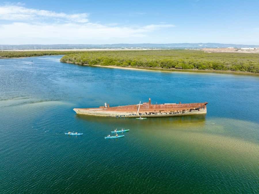 Dolphin Sanctuary and Ships Graveyard Kayak Tour - The Ships Graveyard: 20 shipwrecks, told with your paddle as the context