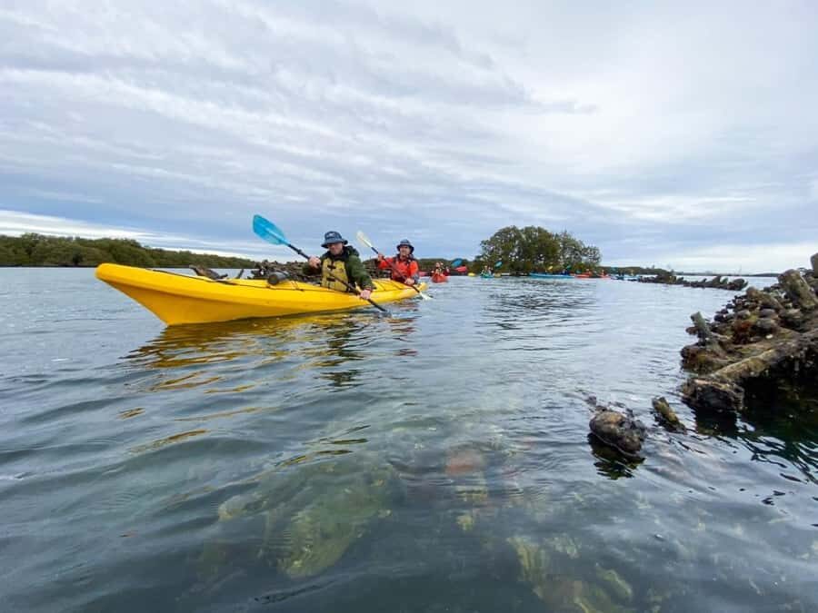 Dolphin Sanctuary and Ships Graveyard Kayak Tour - Paddling setup and sit-in kayak comfort (including weight fit)