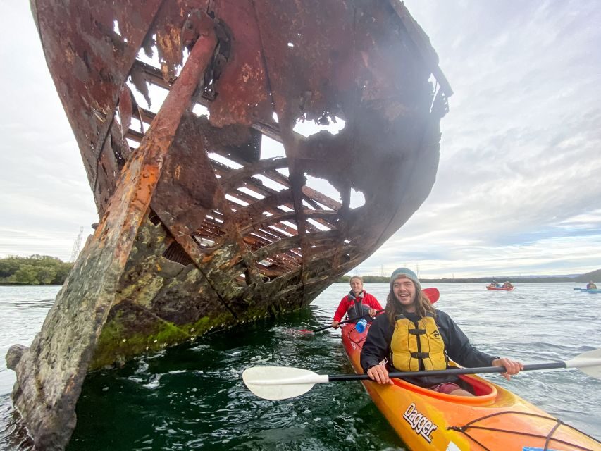 Dolphin Sanctuary and Ships Graveyard Kayak Tour - What you bring (and what you should not): wear for mangroves, not city streets