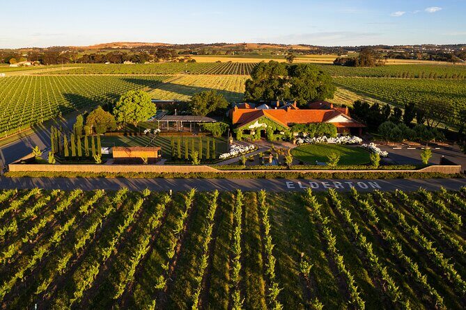 Elderton Chocolate And Wine Matching - The 45-minute flow: six wines, paired chocolate bites, and a guided pace