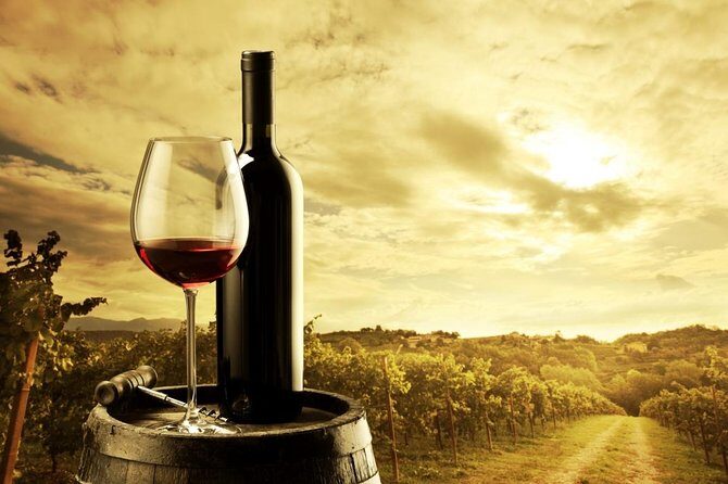 Elderton Elite Tasting Experience - When to Book: Timing Your Barossa Day