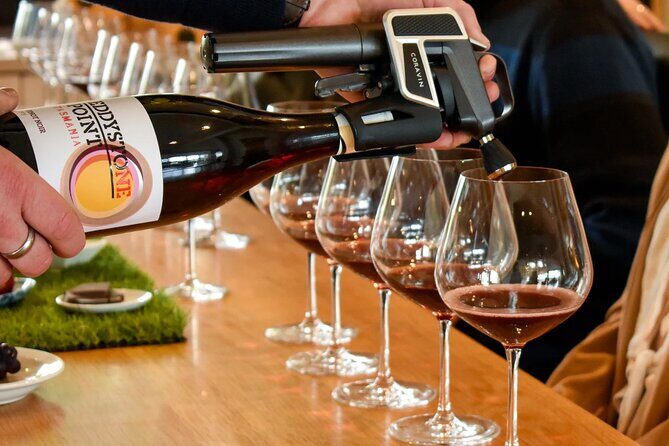 Feed Me Food and Wine Experience in Adelaide - Where this experience fits best (and who might skip it)