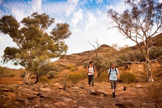Flinders Ranges 3-Day Small Group 4WD Eco Tour from Adelaide - Why a 4WD eco tour works so well in the Flinders