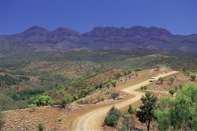 Flinders Ranges 3-Day Small Group 4WD Eco Tour from Adelaide - Day 2: Rawnsley Park Station and the Bunyeroo Gorge walk