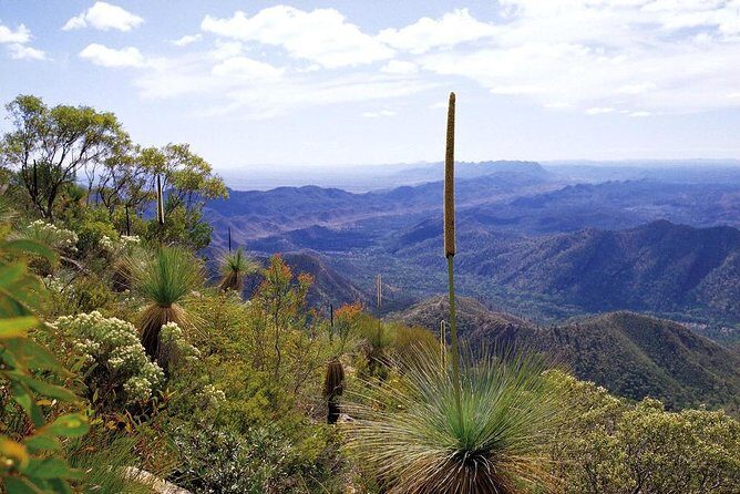 Flinders Ranges 5-Day Small Group 4WD Eco Tour from Adelaide - Price and value: what $2,506.77 covers