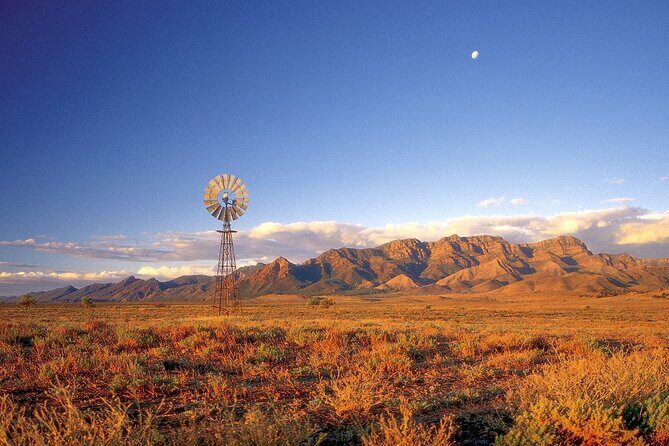 Flinders Ranges 5-Day Small Group 4WD Eco Tour from Adelaide - Arkaroola Wilderness Sanctuary: ridge-top 4WD and the yellow-footed chance