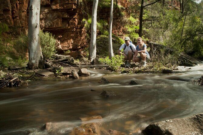 Flinders Ranges 5-Day Small Group 4WD Eco Tour from Adelaide - Wangara Lookout early walk: sounds of the bush and a slow exit