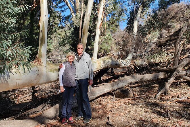 Flinders Ranges 5-Day Small Group 4WD Eco Tour from Adelaide - Getting there from Adelaide: pickup and the daily rhythm