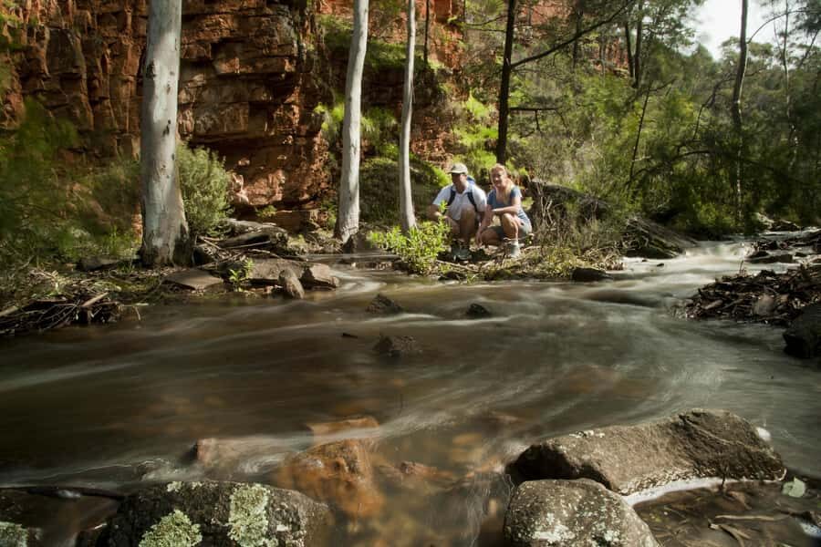 Flinders Ranges & Outback: 3-Day 4WD Tour from Adelaide - Day 2: Wilpena Pound and gorge time that feels ancient