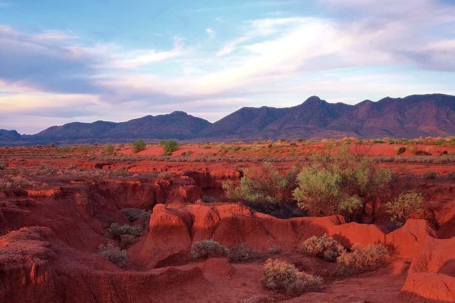 Flinders Ranges & Outback: 3-Day 4WD Tour from Adelaide - Animals and Aboriginal culture: how to get more from the spotting